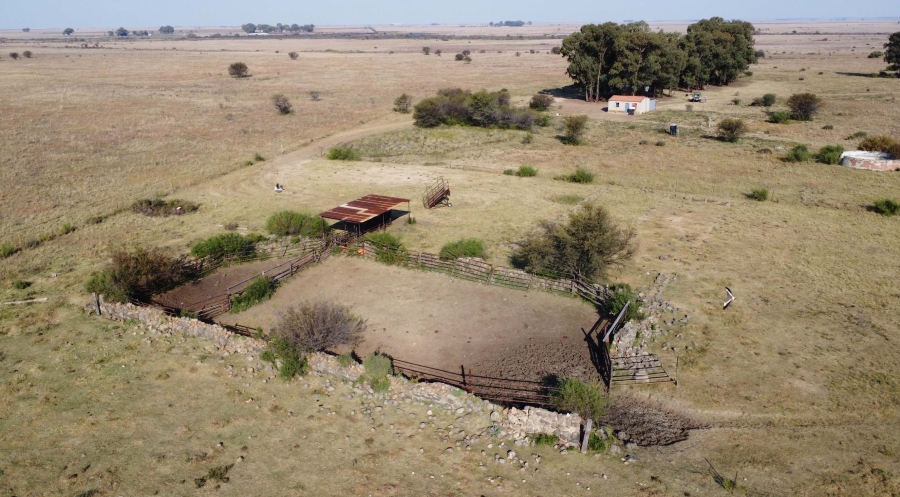 0 Bedroom Property for Sale in Koppies Rural Free State